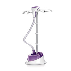 Steam generator iron